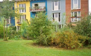 freiburg 2007 rieselfeld 03