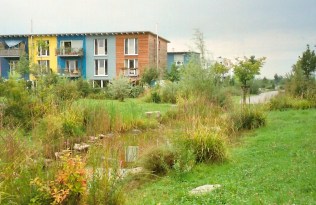 freiburg 2007 rieselfeld 04